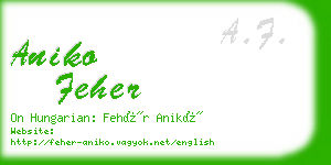 aniko feher business card